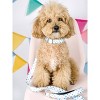 Pink Papyrus Drew Dog Leash - 2 of 2