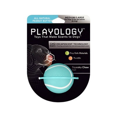 Playology Peanut Butter Scent Chew Ball Dog Toy - Blue - M