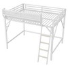 ORRD Queen Size Metal Loft Bed with Ladder & Storage Shelves, Black - 4 of 4