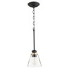 Quorum Lighting Dunbar 1-Light Pendant, Noir Finish, Glass Shade - 4 of 4