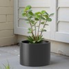 Spassway Indoor Outdoor Round Metal Planter Pot Planter Box Patio Garden Bed Black - 2 of 4