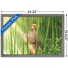 Trends International Fruits Basket - Kyo Soma Framed Wall Poster Prints - 3 of 4
