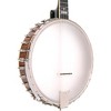 Gold Tone CEB-4 Marcy Marxer Signature-Series Cello Banjo With Case Vintage Brown - 3 of 4