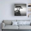 Trademark Fine Art -Dave MacVicar 'The Lone Cypress' Canvas Art - 2 of 4