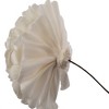 Vickerman 4" Natural Botanicals Dried Sola Flower on Wire Stem - 4 of 4