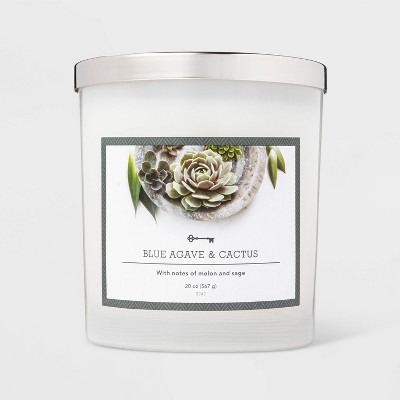 20oz Jar 3-Wick Blue Agave and Cactus Candle - Threshold™