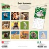 BrownTrout Baby Animals 2026 12"x24" Hanging Square Wall Calendar Plastic-Free - 2 of 4