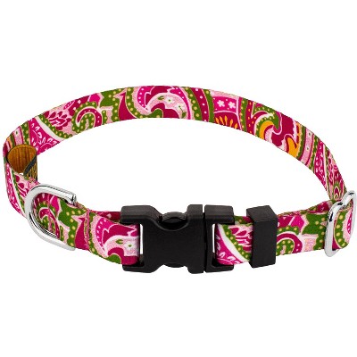 pink paisley dog collar