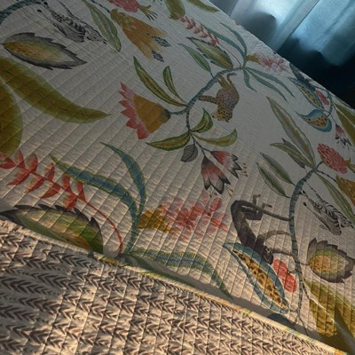 Guest review image 1 of 2, zoom in