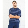 Spruce Fashion Stripe Boxy Tee - 4 of 4
