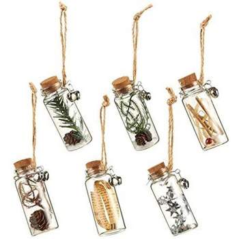 Juvale 6 Pack Clear Glass Ornaments for Decoration, with Jute Strings, Hanging Bottle with Cork Lids, Home Decor Supplies, 6 Designs, 1 x 3 x 1 In