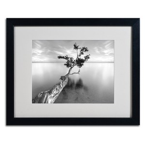 Trademark Fine Art -Moises Levy 'Water Tree XIII' Matted Framed Art - 1 of 4