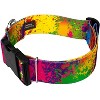 Country Brook Petz 1 1/2 Inch Deluxe Dog Collar - Groovy Collection - 3 of 4