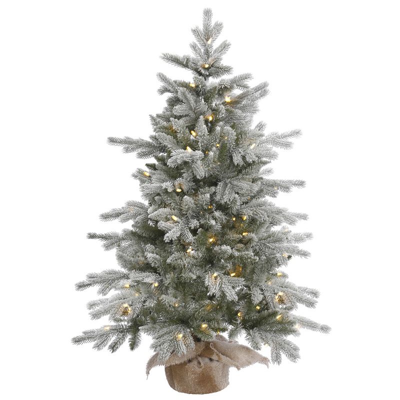 Vickerman Frosted Sable Pine Artificial Christmas Tabletop Tree, 1 of 5