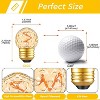 Runesay G40 Replacement Bulbs Night Light Bulbs Small Edison Light Bulb Base Sizes Chart Mini Globe Low Watt Light Bulbs 1W(10W Equivalent),2 Pack - 2 of 4