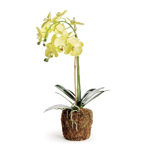 Plum & Post Phalaenopsis Orchid Artificial Plant Drop-In - 1 of 4