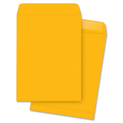 MyOfficeInnovations Catalog Envelopes Plain 10"x15" 250/BX Kraft 3254348