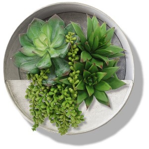 Modern Home Round Living Wall Mounted Galvanized Steel/Zinc Succulent/Herb Planter - 1 of 4