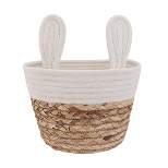 Round Water Hyacinth Decorative Easter Basket - Spritz™