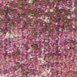 ivory/pink