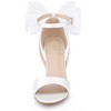 Allegra K Women's Mesh Bow Ankle Strap Open Toe Chunky Heel Sandals - 2 of 4
