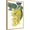Amanti Art Paxton Tropicals VIII by Jennifer Paxton Parker Framed Canvas Wall Art - 3 of 4