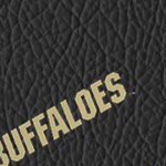 colorado buffaloes