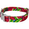Country Brook Petz Premium Summer Melon Dog Collar - 2 of 4