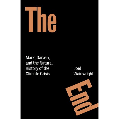 The End - by  Joel Wainwright (Paperback)