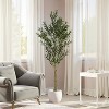 Artificial Olive Tree with Pot - 2 of 4