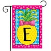 Briarwood Lane Summer Garden Flag 18x12.5 For Outdoor Pineapple Monogram Letter E Garden Flag Flag For Summer Garden Flag Flags For Outside - 2 of 4