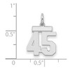 Black Bow Jewelry Sterling Silver, Athletic Collection, Small Polished Number 45 Pendant - 2 of 3