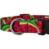 Country Brook Petz® Deluxe Summer Melon Dog Collar - Made in The U.S.A. - image 4 of 4