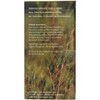 Numi Tea Green Herb African Rooibos - Case of 6 - 18 BG - 3 of 4