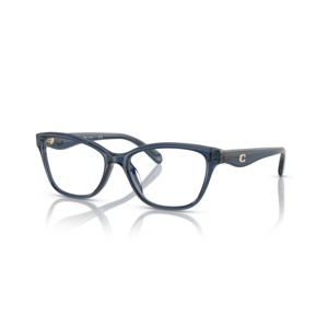 Coach HC6243U 53mm Female Pillow Sunglasses - 1 of 4