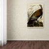 Trademark Fine Art -John James Audubon 'American Wild Turkey Cock' Canvas Art - 3 of 3