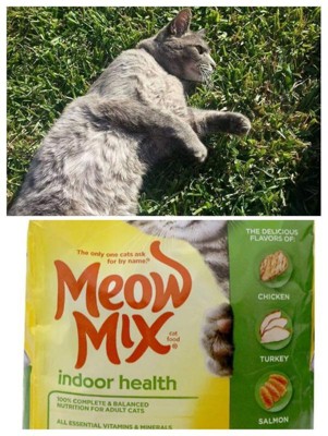 Meow mix indoor outlet health dry cat food