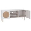 Ophelia 2 Door 2 Shelf Media Stand - MED9615 - Safavieh - 3 of 4
