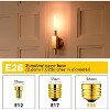 Runesay Dimmable E26 40 Watt Tubular Light Bulbs, 4W T10 LED Light Bulbs, 2200K Soft White Type T Tulb Flicker-Free, 4.96 in., 350 Lumens, 2 Pack - 3 of 4
