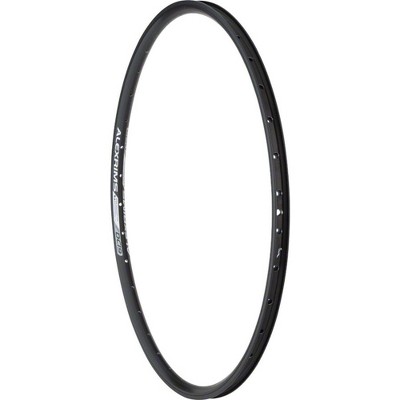 alex dc19 rim