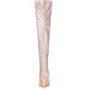 Allegra K Women's Glitter Pointed Toe Stiletto Heel Over the Knee High Boots - 4 of 4