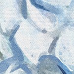 coastal white