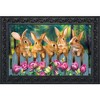 Briarwood Lane Easter Doormat 30x18 Indoor Outdoor Garden Bunnies Spring For Easter Doormat - 2 of 4