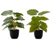Monarch Specialties Artificial Plant 13 inch Tall Epipremnum Indoor Faux Fake Table Greenery Potted Set Of 2 Decorative Green Leaves Black Pots - 2 of 4