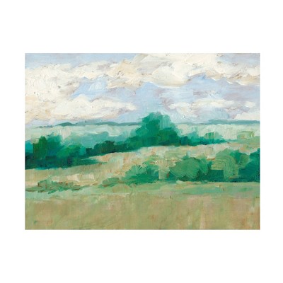 35" x 47" Ethan Harper 'Height of Summer I' Unframed Canvas Art - Trademark Fine Art