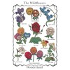 Men's Alice in Wonderland The Wildflowers Chart Sweatshirt - image 2 of 4