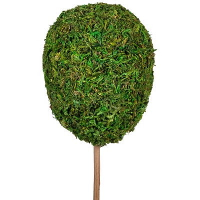 Elegant Outdoor Reindeer Moss Topiary in White Pot, 14" High