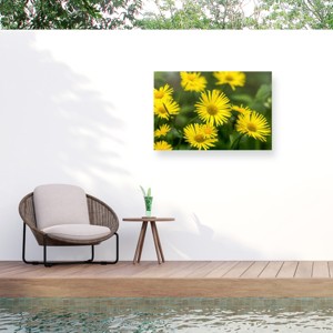 Trademark Fine Art - Harri Aho yellow field Matted Framed Art - 1 of 4