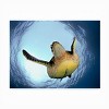 Trademark Fine Art - Henry Jager Green Turtle In Snells Window Matted Framed Art - 3 of 4