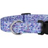 Country Brook Petz Deluxe Dog Collar - Abstract Collection - Made In The U.S.A. - 4 of 4